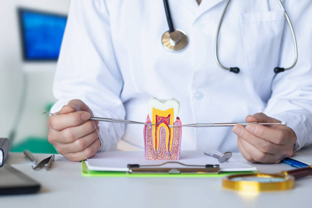 Best Mobile Emergency Dentist in Decorah, IA